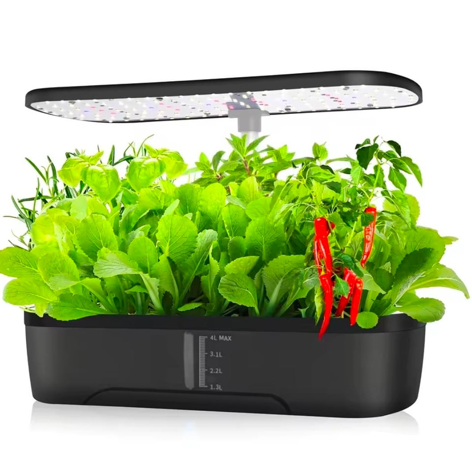 Hydroponic Anfangerfragen