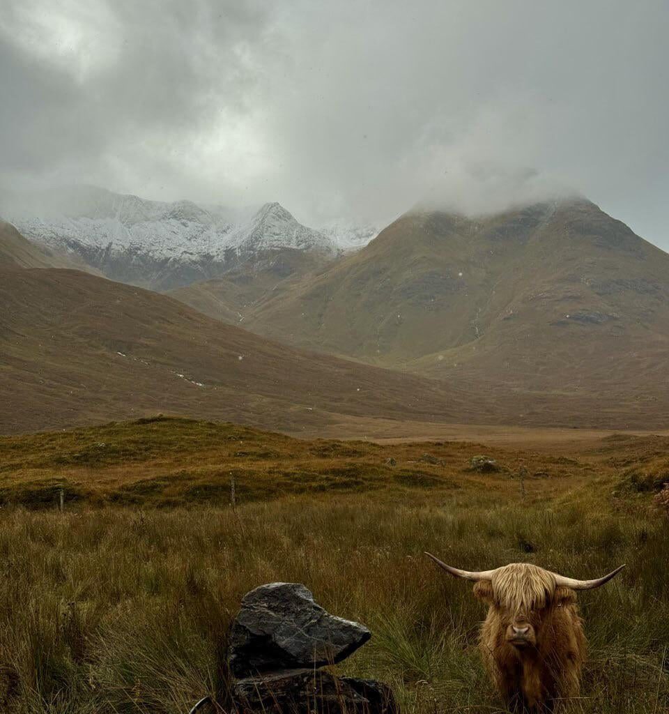 Been in Scotland the last two weeks, and this is probably my favorite picture I have ever taken. Scotland has been nothing short of incredible.