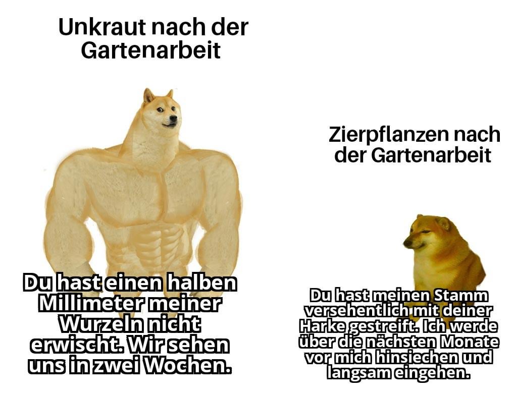 ich_iel