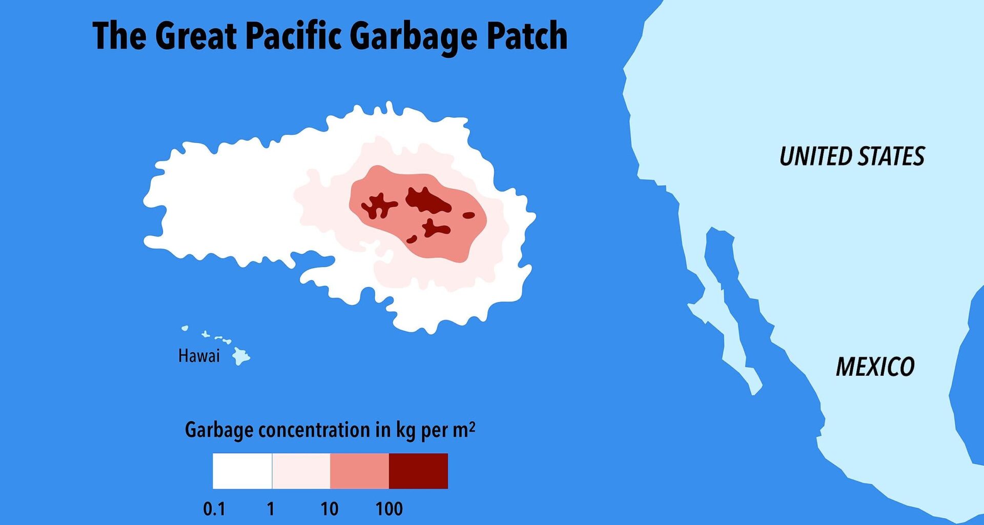 The Great Pacific Garbage Patch is now so large that dozens of species call it 'home'