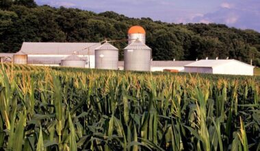 This Ohio county banned wind and solar. Now, residents are pushing back.