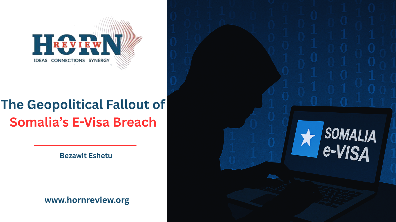 The Geopolitical Fallout of Somalia’s E-Visa Breach – HORN REVIEW
