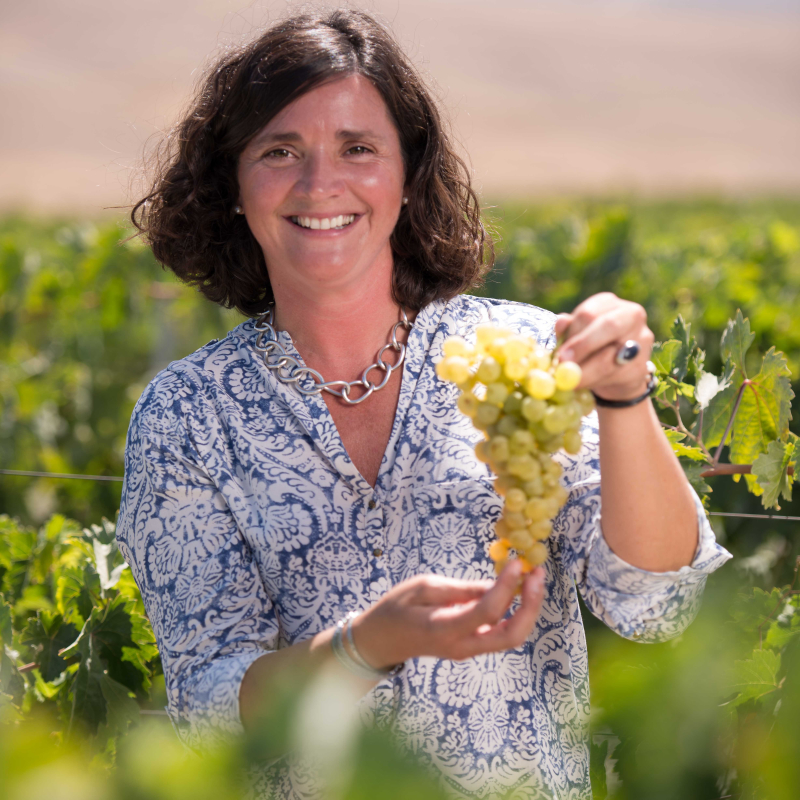 Catina Aveledo holding a bunch of white grapes in a vineyard.
