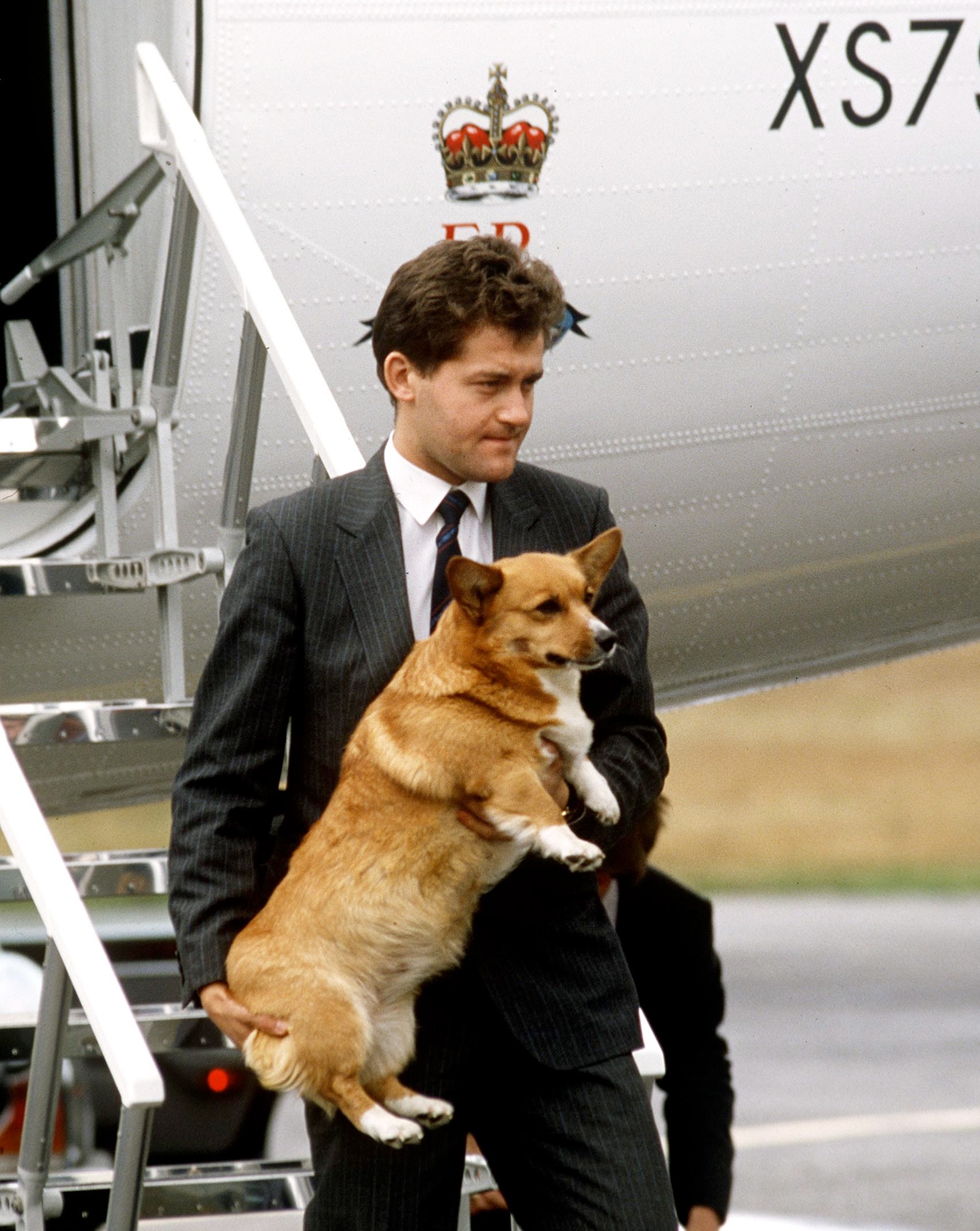 Paul Burrell, a member of the Queen's staff, carrying one of the Queen's Corgis off a royal flight aircraft.