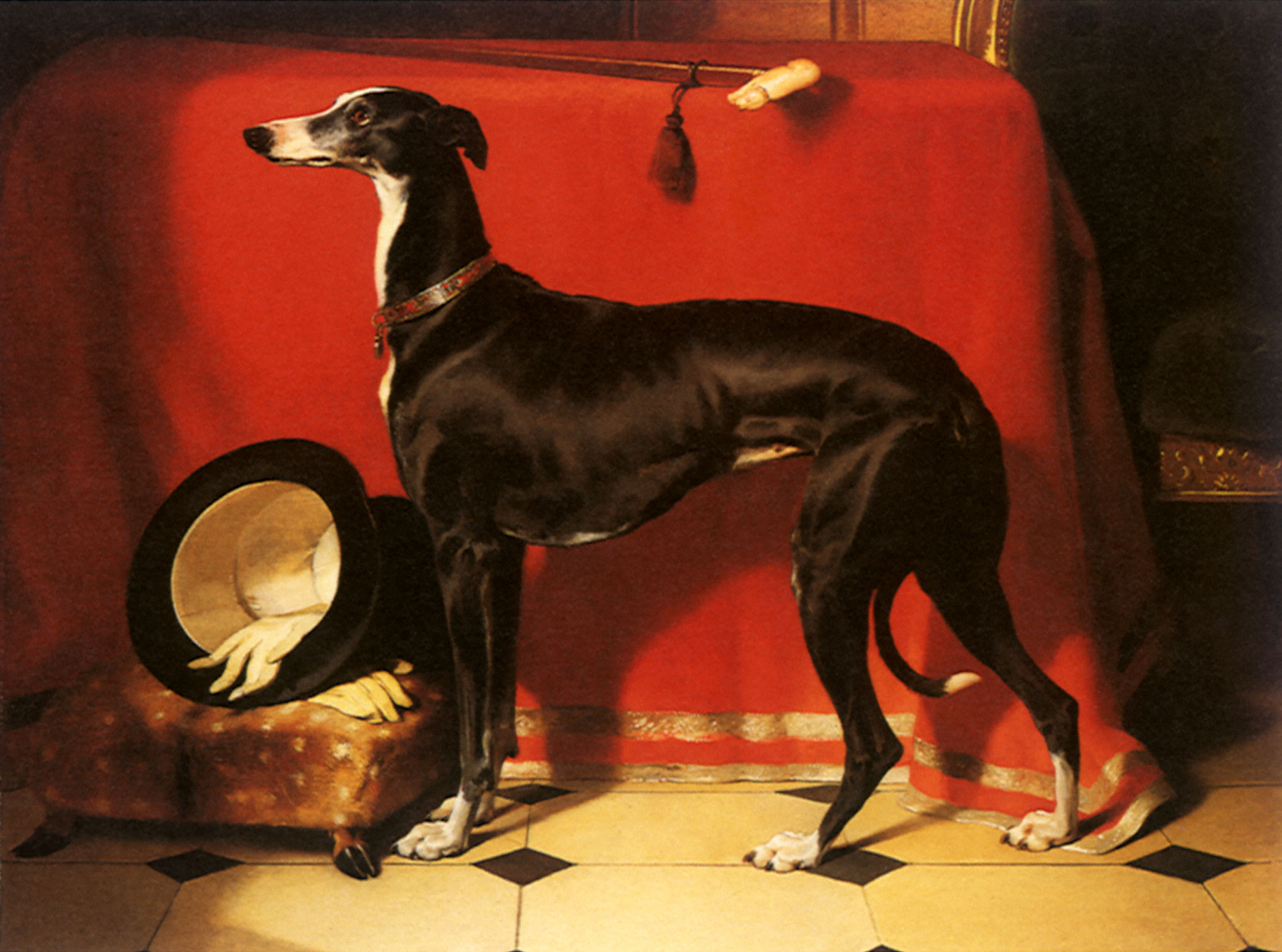 Painting titled "The Greyhound Eos" by Sir Edwin Henry Landseer, depicting a black and white greyhound standing next to a table draped with a red cloth and a top hat.