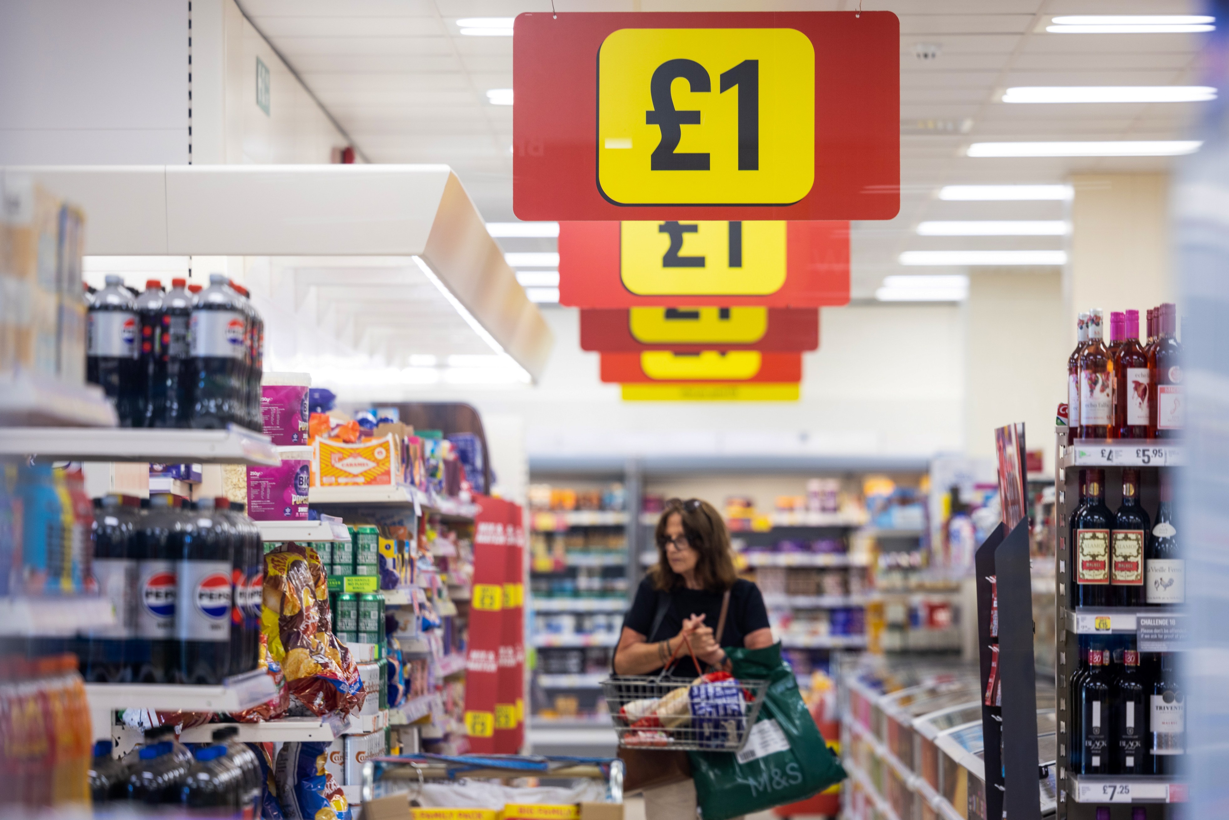 Discount banners for £1 items hanging in an Iceland Food Ltd. supermarket, with a shopper in the background.