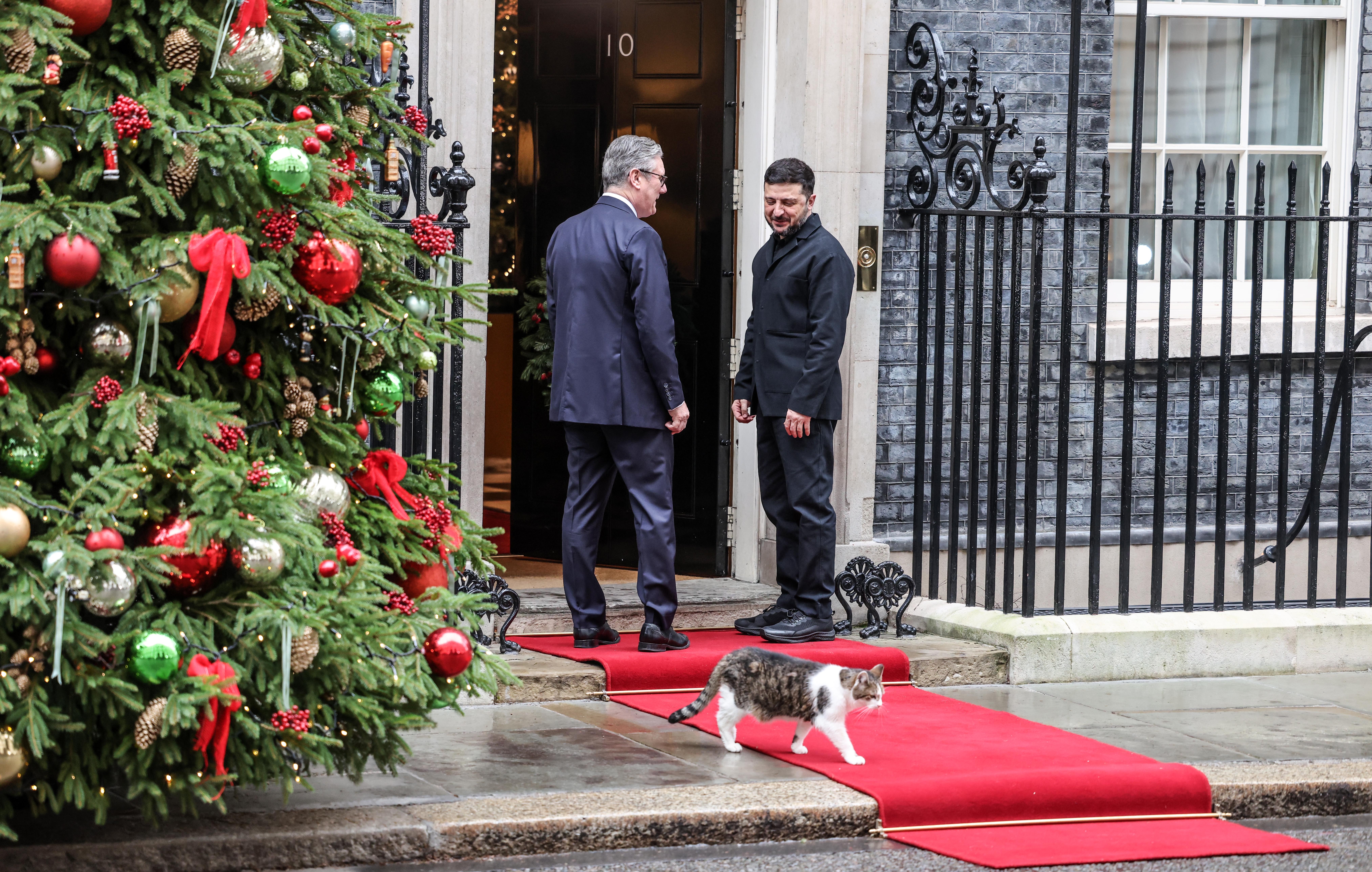 President Zelensky, Prime Minister Keir Starmer, and Larry the Downing Street Cat on a red carpet.