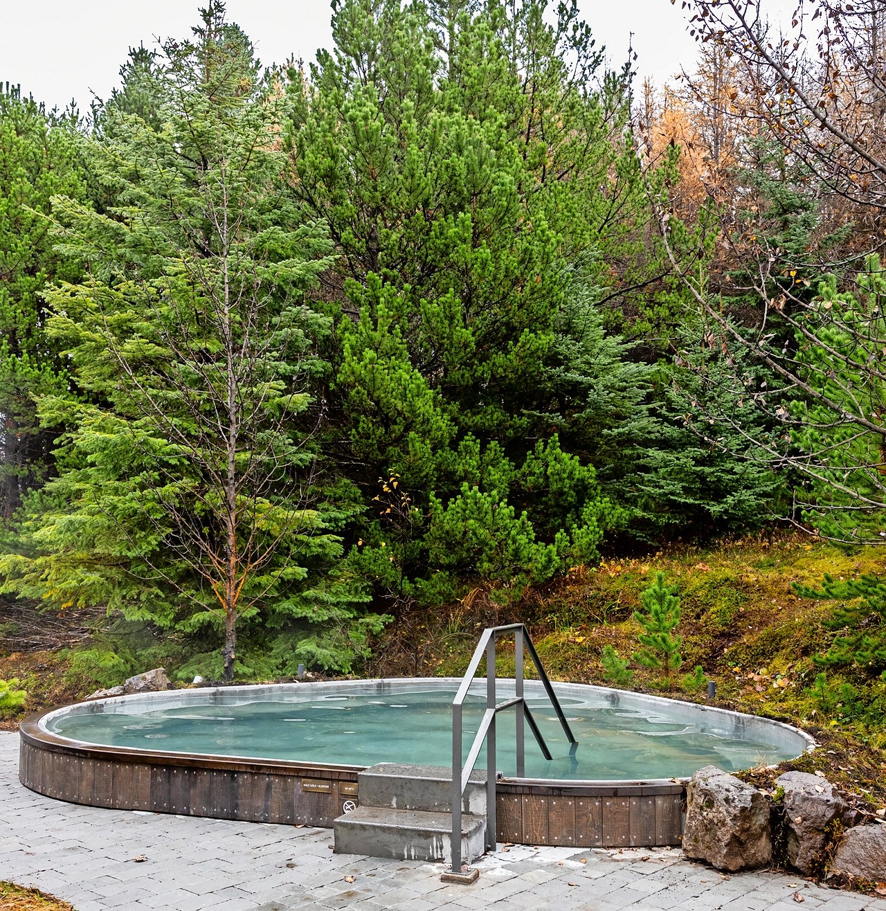 Outdoor hot tub with wooden siding and metal stairs, surrounded by evergreen trees, in Iceland.