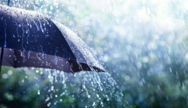Rain warning issued for Northern Ireland