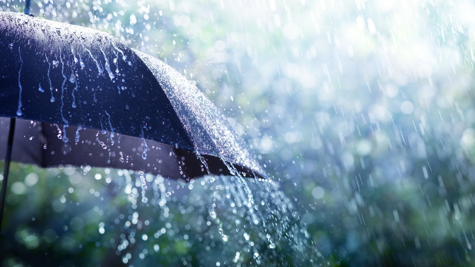 Rain warning issued for Northern Ireland