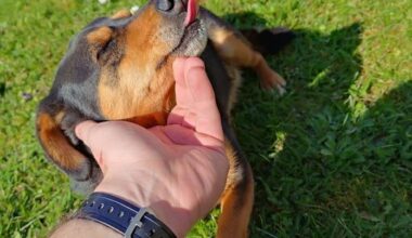 Dnes ma opustila moja blška, tak sa s vami podelím o jej fotku