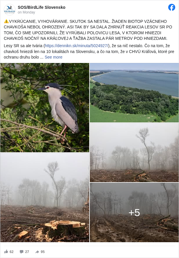 SOS/BirdLife Slovensko: ⚠️VYKRÚCANIE, VYHOVÁRANIE. SKUTOK SA NESTAL. ŽIADEN BIOTOP VZÁCNEHO CHAVKOŠA NEBOL OHROZENÝ. ASI TAK BY SA DALA ZHRNÚŤ REAKCIA LESOV SR PO TOM, ČO SME UPOZORNILI, ŽE VYRÚBALI POLOVICU LESA, V KTOROM HNIEZDI CHAVKOŠ NOČNÝ NA KRÁĽOVEJ A ŤAŽBA ZASTALA PÁR METROV POD HNIEZDAMI.

 Lesy SR sa ale tvária (https://dennikn.sk/minuta/5024927/ <https://l.facebook.com/l.php?u=https%3A%2F%2Fdennikn.sk%2Fminuta%2F5024927%2F&h=AT2LM0lszKzit-HIic1MHU1jby2RhOPXFvpRvGdXOjuFkLbxRTJjf4D8SvgReCmlAiTrokGCnAS5Nrq2xqFKaA2wpf2bTjxwqDrSFcHpiXWp1Sj2Ld9I5fMHNMz9xmZTOGbmOvkb85T42pA>), že sa nič nestalo. Čo na tom, že chavkoš hniezdi len na 10 lokalitách na Slovensku, a čo na tom, že v CHVÚ Kráľová, ktoré pre ochranu druhu bolo vyhlásené, len na dvoch lokalitách? Čo na tom, že Program starostlivosti o CHVÚ Kráľová (na jeho prerokovaní Lesy SR boli, na to, že o biotope nevedeli sa vyhovárať nemôžu) vyslovene vylučuje ťažbu v okruhu 100 metrov okolo chavkošej kolónie? Čo na tom, že druh je citlivý na vyrušovanie?

 Nevadí. Taká je zdá sa skutočná odpoveď Lesov SR na vyššie uvedené otázky súdiac podľa ich reakcie. Preto spolu s Aevis Foundation <https://www.facebook.com/aevisfoundation?fref=mentions&ref=embed_post> a My sme les <https://www.facebook.com/mysmeles.sk?fref=mentions&ref=embed_post> vyjadrujeme striktný nesúhlas voči postupu a postoju Lesov SR a upozorňujeme, že ťažba sa konala v rozpore so schváleným Programom starostlivosti o CHVÚ Kráľová. Viac v našej spoločnej tlačovej správe tu: https://vtaky.sk/press/show/319 <https://l.facebook.com/l.php?u=https%3A%2F%2Fvtaky.sk%2Fpress%2Fshow%2F319&h=AT0MnQZNIXSnStagRytM-vhv9iFYYOYkH9Do2Ec9O4hzSkPm7QNMhFYMvLT9UL4UMhkgN9nq3ctERrxtVuhdUuswfhAsuyJFaPG3bAMXHxR3EQ5gCec7_Fyvh5wSO_64rYP56gk-YRhfT18>

 Zároveň veľmi dôrazne upozorňujeme na naše pobúrenie so zvoleným postupom Lesov SR, ktoré sa tvária, že sa nič nestalo. No stalo sa veľmi veľa. Lesy SR totiž práve na tomto prípade ukázali ako seriózne to myslia s ochranou prírody a my budeme veľmi pozorne sledovať ako sa prípad na Kráľovej uzavrie a či náhodou Lesom SR nenapadne doťažiť zvyšok porastu podľa aktuálneho programu starostlivosti o les (PSL) prijatého podľa nášho názoru v rozpore so zákonom 543/2002 Z.z. a Smernicou o biotopoch 92/43/EHS.

 ➡️ Po prvé. Na celom Slovensku chavkoše hniezdia len na pár lokalitách, všetky sú na odľahlých, ťažko prístupných miestach, väčšinou na ostrovoch, odľahlých mokradiach, ktoré ani nie sú lesnými pozemkami. Ohrozenie biotopov chavkošov na týchto lokalitách teda nehrozí. 

 Len jedna lokalita je v tomto ohľade iná - Kráľová, keďže ide o lesný pozemok v správe Lesov SR. Len na týchto smiešnych 3 hektároch (rozloha, ktorá je kvapkou v mori oproti pozemkom, ktoré majú Lesy SR v užívaní) mali Lesy SR možnosť ukázať ako vedia pomôcť ochrane prírody. 

 Lesníci v mnohých iných krajinách by sa chválili tým ako vedia takejto malej zraniteľnej lokalite a vzácnemu druhu pomôcť. Ale my na Slovensku nie. PSL znel jasne. Vyťažiť. No tak Lesy SR vyťažili.

 ➡️ Po druhé. A toto je veľmi dôležitý kontext. Slovensko sľúbilo Európskej komisii mnohé opatrenia na vyriešenie sporu vo veci hlucháňa práve cez schválenie programov starostlivosti. Mnohí naši spolupracovníci vyjadrujú obavy či to bude fungovať, a či sľuby v programoch starostlivosti o CHVU neostanú len na papieri. A po dnešku môžeme povedať, že tieto obavy sú oprávnené. 

 ‼️Program starostlivosti o CHVÚ Kráľová totiž hovorí jasnou rečou. Lokality v okruhu 100 metrov okolo hniezdísk sa nesmú vyťažiť.‼️ No vyťažili sa. Ak Slovensko nevie zabezpečiť ochranu biotopu tak vzácneho druhu akým je chavkoš nočný na tak málo lokalitách, v podstate na jednej jedinej, veľkej 3 ha, kde je rozpor medzi lesným hospodárením a ochranou vzácneho druhu, ako chce Európsku komisiu a vlastne všetkých, ktorým záleží na ochrane prírody presvedčiť, že to dokáže u hlucháňa, kde je rozsah záujmov, ktoré treba zladiť diametrálne odlišný, rádovo väčší? Na mieste Lesov SR by sme okamžite prehodnotili rétoriku a brali by sme tento prípad vážne.

 My tento prípad budeme dôsledne sledovať. Pôjdu podnety, aby nepadol ani jeden strom navyše a vykonáme ďalšie kroky, aby sa nič podobné už nezopakovalo. Je neakceptovateľné, že Lesy SR ani na smiešnych troch hektároch nedokážu vyjsť v ústrety ochrane vzácnych druhov.

 A na koniec ešte jedna poznámka k reakcii Lesov SR. Lesy SR tvrdia, že tam žiadna kolónia nebola, a že ťažba prebehla mimo hniezdneho obdobia. 

 Ak správne chápeme túto reakciu, snažia sa nám naznačiť, že vtáky odleteli na zimoviská, a pri ťažbe ich nerušili na hniezdach. Tomu, že by popierali fyzickú prítomnosť hniezd tomu neveríme, stále na lokalite hniezda sú, každý sa môže presvedčiť. Ak to ale je naozaj tak, že naznačujú, že hniezda boli pri ťažbe prázdne, potom takáto reakcia je asi najviac absurdnou časťou reakcie Lesov SR.

 ⁉️ To nám chcete povedať, že v čase, keď bociany, lastovičky a iné sťahovavé druhy odletia na juh do Afriky, nie je problém zničiť ich hniezda a hniezdiská a biotopy v okolí hniezd? Toto je prístup k ochrane prírody prežitý dávno, ale fakt, že dávno, v minulom storočí. A práve z toho, že zdá sa, že Lesy SR tento prístup akosi nemenia, vyplýva podľa nás mnoho problémov, ktorými v ochrane prírody stále čelíme. 

 Prípad chavkoša nočného je z tohto pohľadu len jedným z extrémov.

