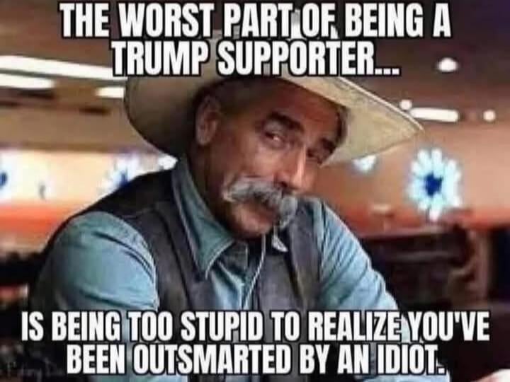 Loud opinions, zero self-awareness