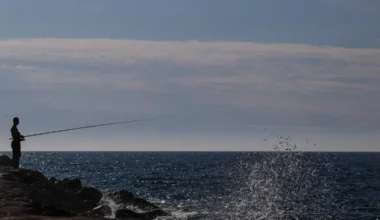 Subscribe Placeholder