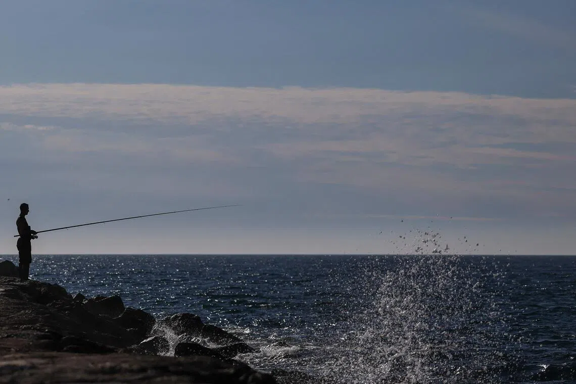 Subscribe Placeholder