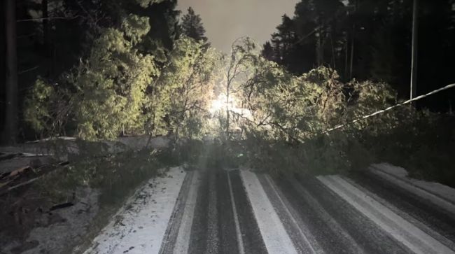 planes are blown off the runway — EADaily, December 28th, 2025 — Society, Europe