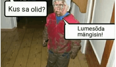 Ok, sorri veidi meeldib.eeliku/naljasahtliku postituse eest, aga suht naljakas ja relevantne