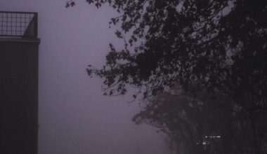 Малко тъмен и мъглив Плевен