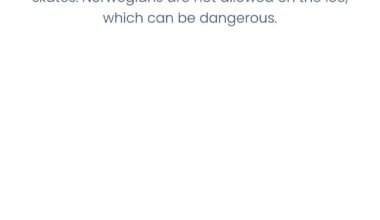 What did the Norwegians do!?