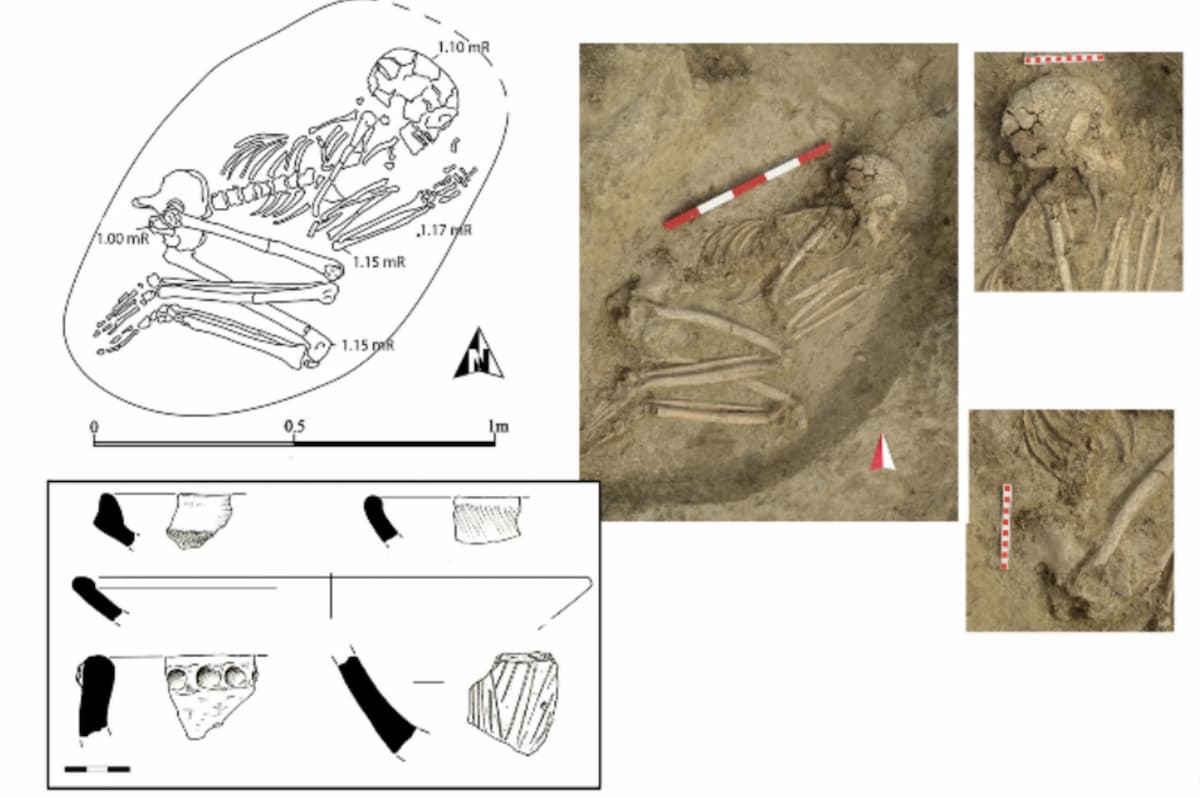 attack lion age copper Bulgaria