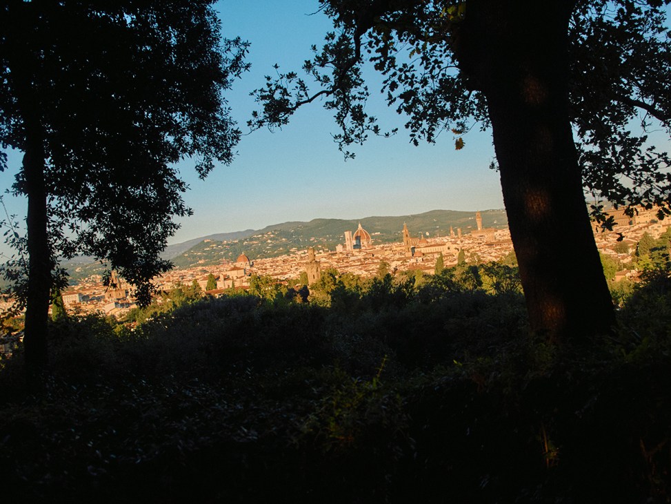 View from the San Francesco di Paola property
