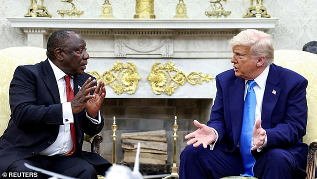 White South Africans have thanked US President Donald Trump for giving them 'hope' after he invited them to the US as refugees. Pictured: Donald Trump meets South African President Cyril Ramaphosa in the Oval Office of the White House in Washington, D.C., U.S., May 21, 2025