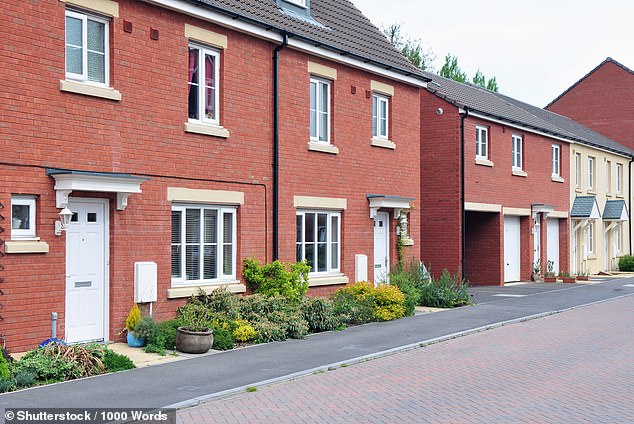 Building new council homes for asylum seekers will reduce reliance on private contractors to lease hotels and private accommodation, council leaders have suggested (File image)