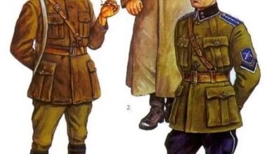 An outsider’s question regarding Estonian military uniforms during WWI