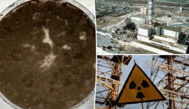 Radiation-eating mold could help clean up nuclear sites protect astronauts