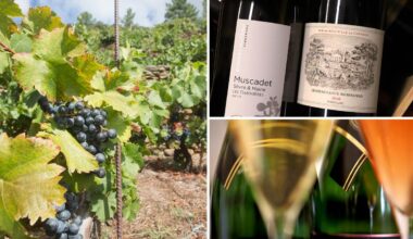 Fine wine prices slide for third year in a row as tariffs and stocks sap demand