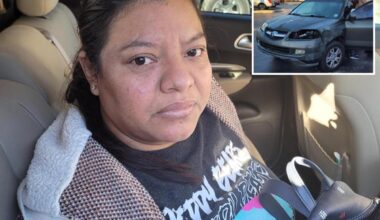 'Unlucky' illegal immigrant allegedly runs red light and crashes into ICE vehicle