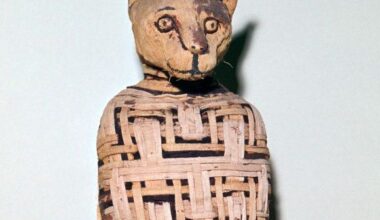 Au commencement était le chat : épisode 1/8 du podcast L'effet chat