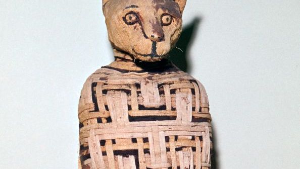 Au commencement était le chat : épisode 1/8 du podcast L'effet chat