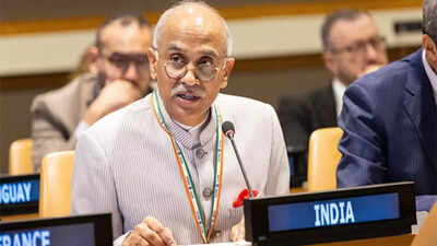 File photo Watch: India rebukes Pakistan at UNSC; says J&K, Ladakh are integral parts of the country