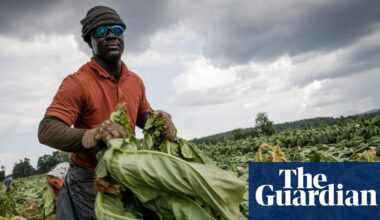 Foreign farm workers are struggling amid Trump’s immigration crackdown: ‘It was terrifying’ | US immigration
