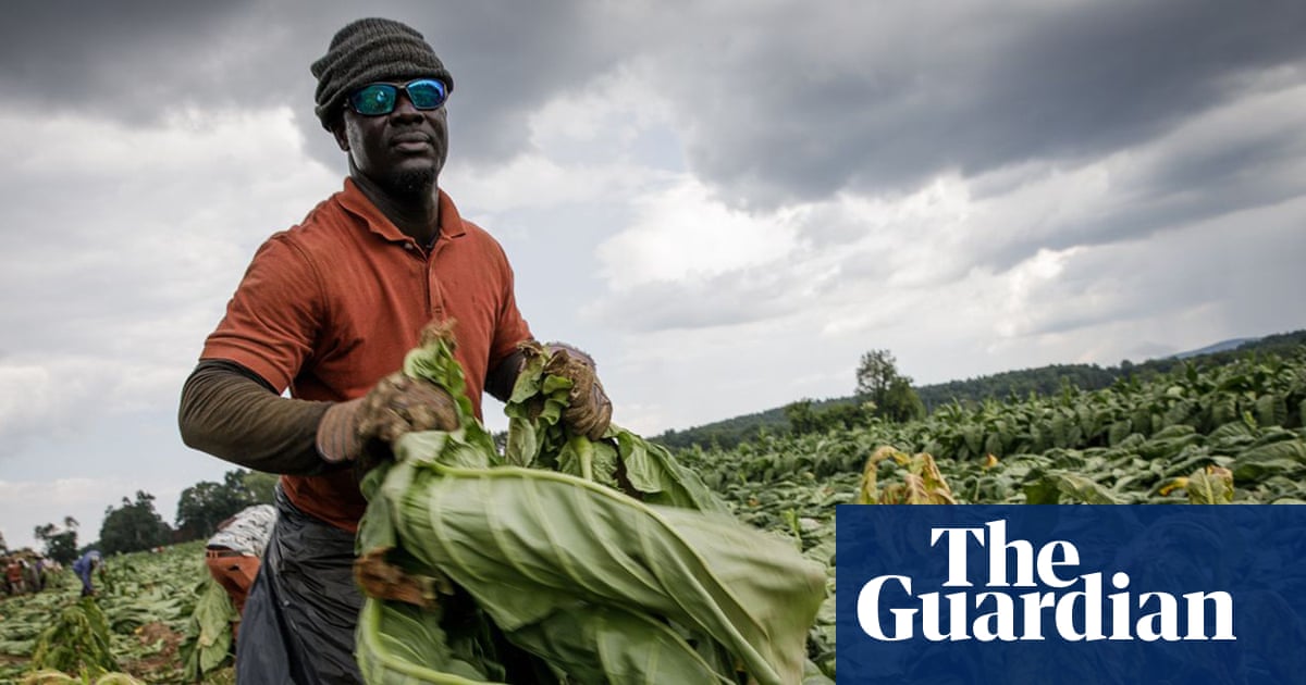 Foreign farm workers are struggling amid Trump’s immigration crackdown: ‘It was terrifying’ | US immigration