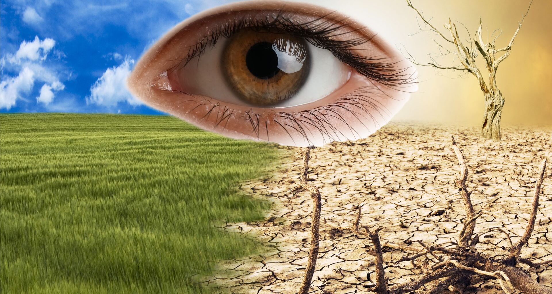 Blinding heat: The ocular toll of climate change