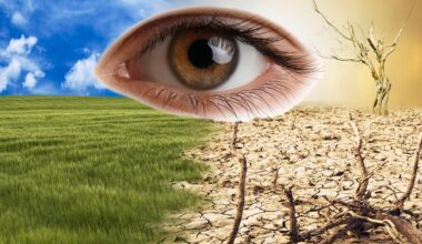 Blinding heat: The ocular toll of climate change