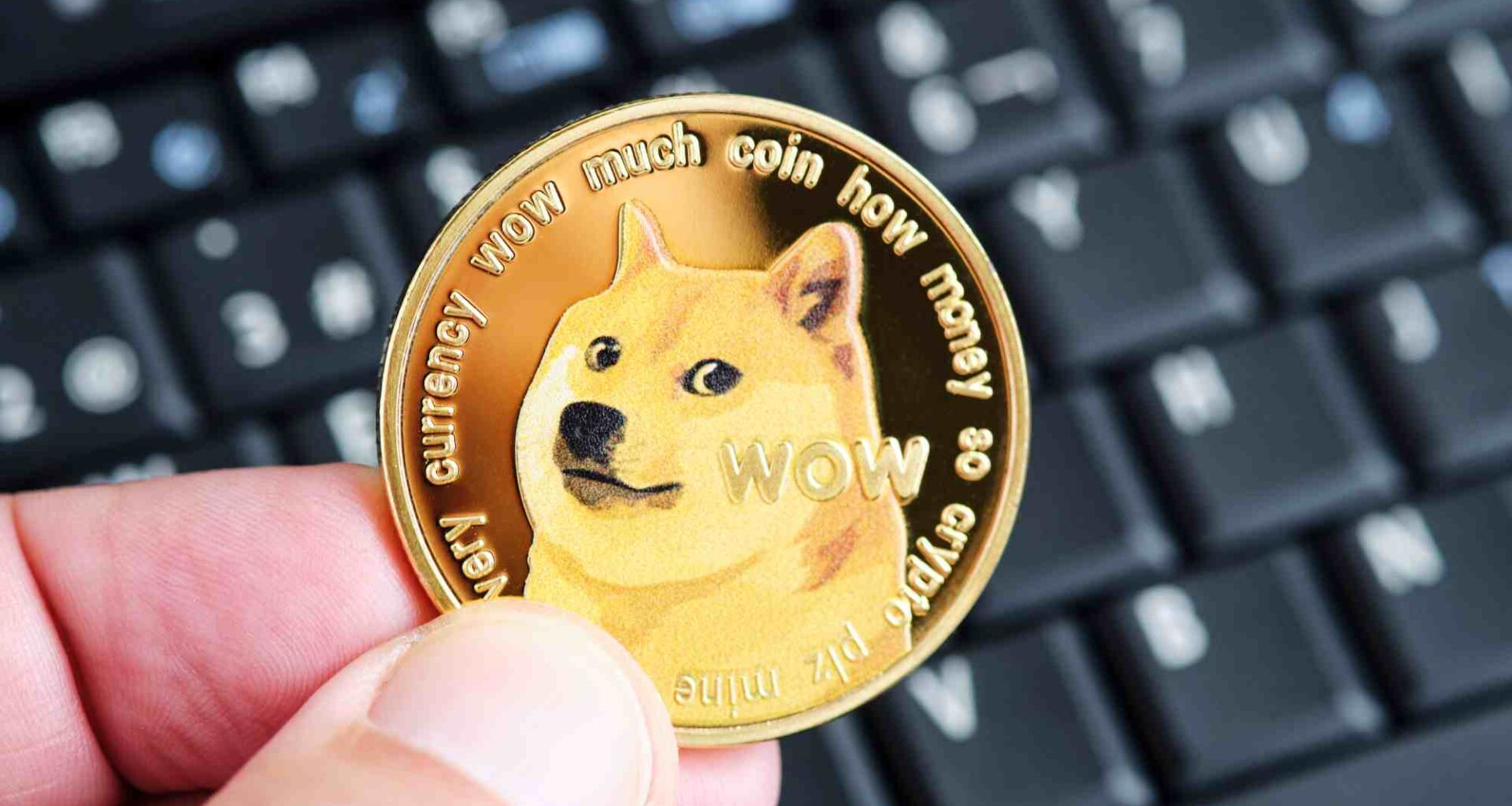 Dogecoin Price