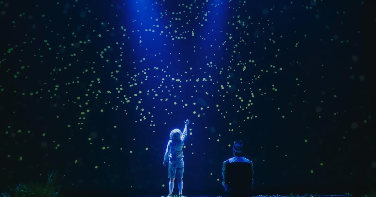 Kas me peame vabandust paluma selle pärast, et me oleme rõõmsad?