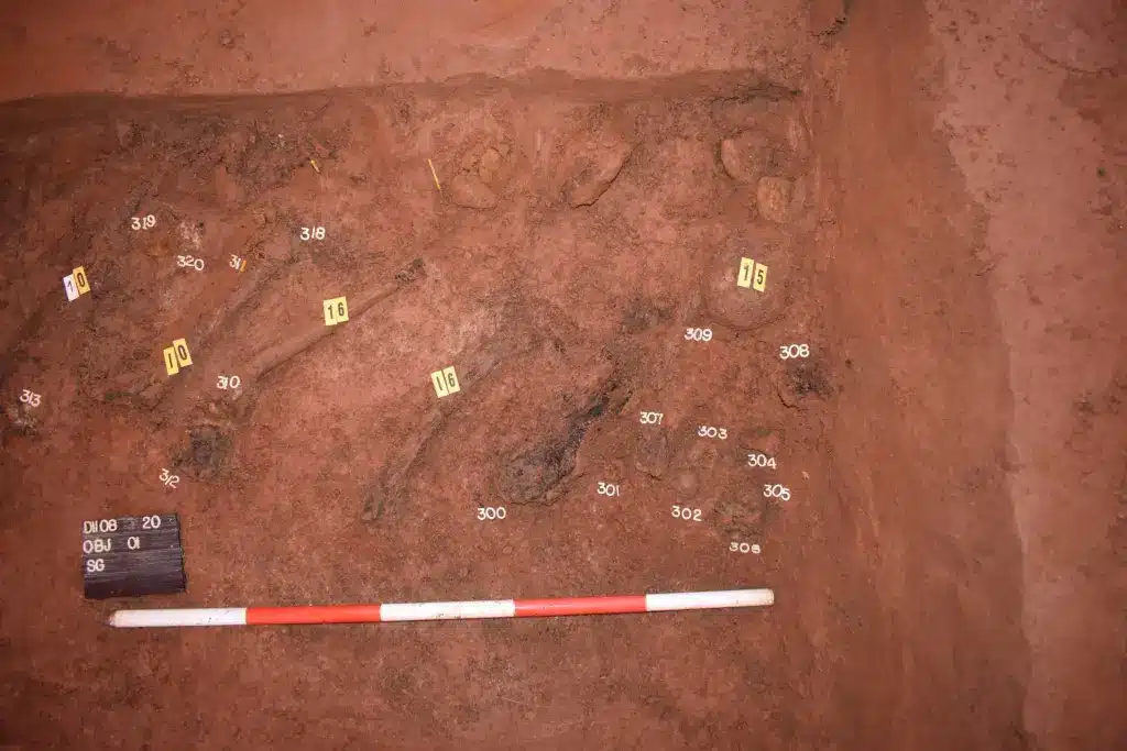 1745 Battle R 1866 117908273