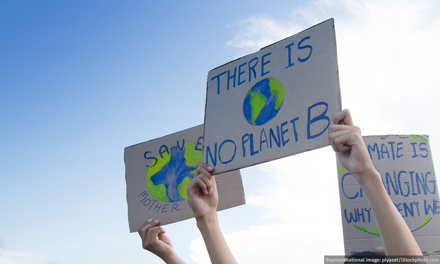 From Street Protests to Policy Shifts: India's Environmental Year in Review