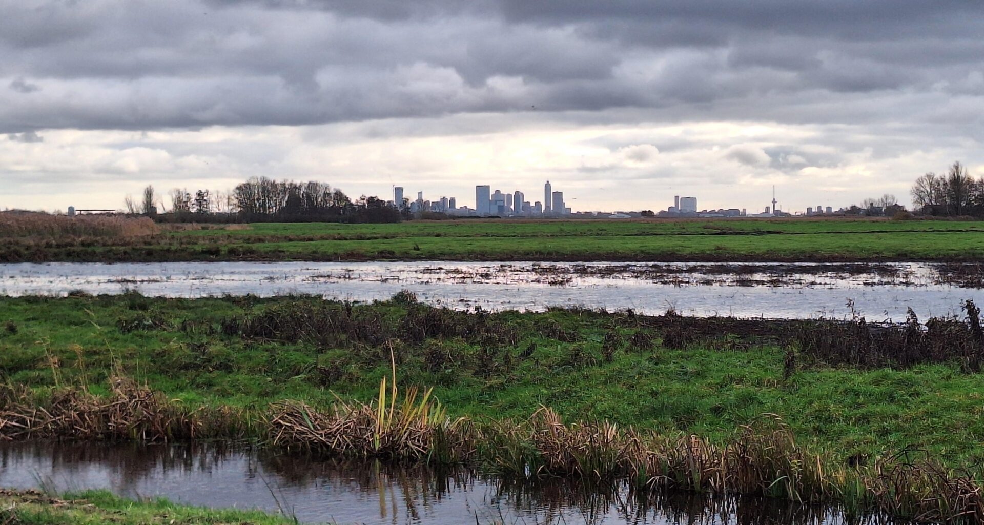 Rotterdam bezien vanuit richting Delft