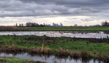 Rotterdam bezien vanuit richting Delft