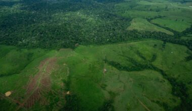 Gavin Newsom and Helder Barbalho