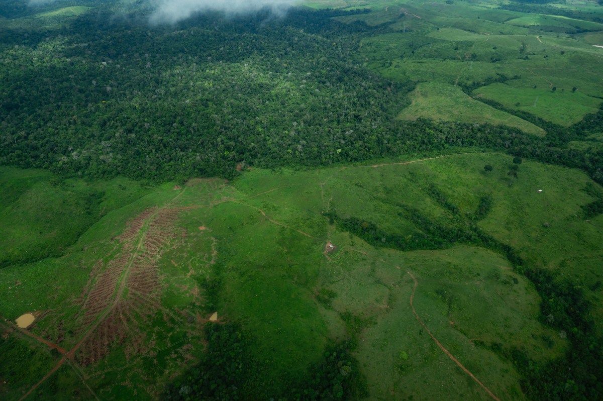 Gavin Newsom and Helder Barbalho