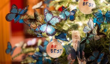 First lady Melania Trump decorates the White House for Christmas: 'Home is Where the Heart Is'