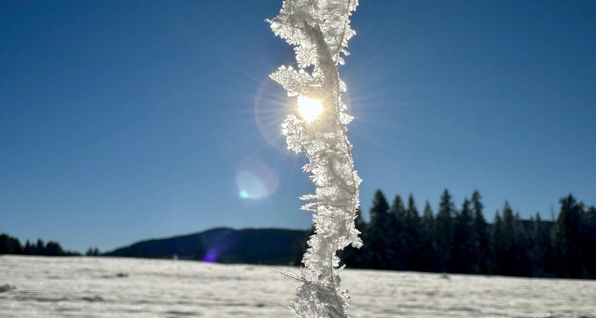 Winter Wonderland ❄️