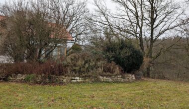 Steinmauer renovieren