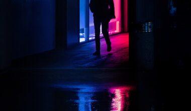 Ena iz Maribora - The Walker